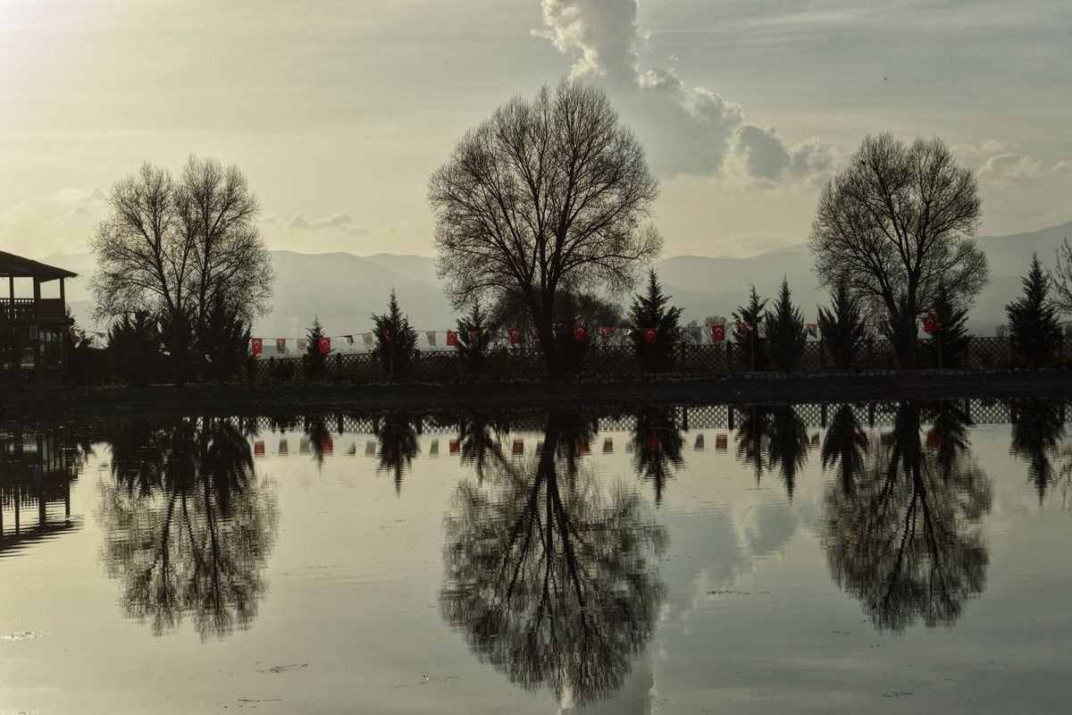 Trees reflected in a still lake under a cloudy sky