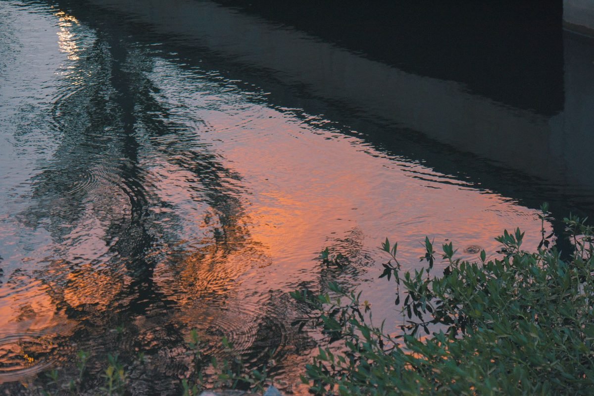 Orange sky and trees reflected in still water